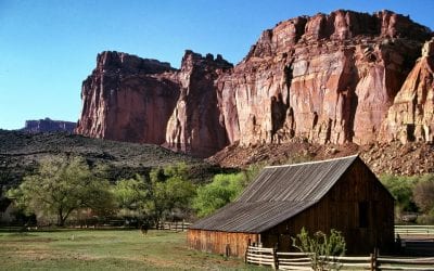 Utah’s Best Picnic Destinations